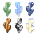 Cactus Carvings