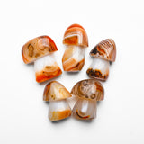 New Agate Mushroom Carvings【2 kinds】