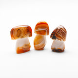 New Agate Mushroom Carvings【2 kinds】