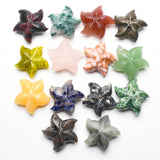Starfish Carvings【New!small size】