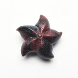 Starfish Carvings【New!small size】