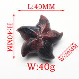 Starfish Carvings【New!small size】