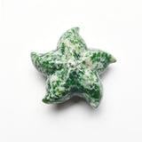 Starfish Carvings【New!small size】