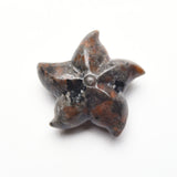 Starfish Carvings【New!small size】