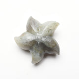 Starfish Carvings【New!small size】