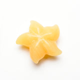Starfish Carvings【New!small size】