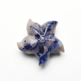 Starfish Carvings【New!small size】