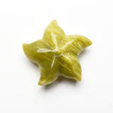 Starfish Carvings【New!small size】