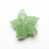 Starfish Carvings【New!small size】