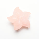 Starfish Carvings【New!small size】
