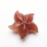 Starfish Carvings【New!small size】
