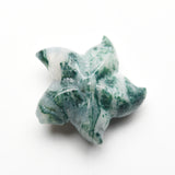 Starfish Carvings【New!small size】