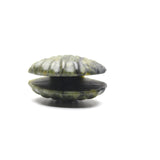 Various Shell carvings