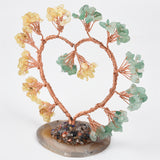 【money tree big size】heart shape & Weeping willow