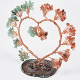 【money tree big size】heart shape & Weeping willow
