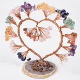 【money tree big size】heart shape & Weeping willow