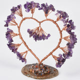 【money tree big size】heart shape & Weeping willow
