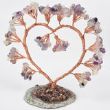 【money tree big size】heart shape & Weeping willow