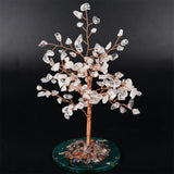 【money tree big size】heart shape & Weeping willow