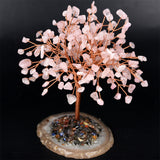 【money tree big size】heart shape & Weeping willow