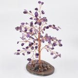【money tree big size】heart shape & Weeping willow