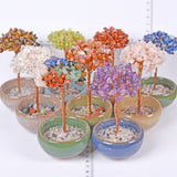 Crystal chips money tree 7 chakras life tree