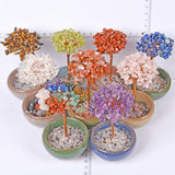 Crystal chips money tree 7 chakras life tree