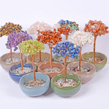 Crystal chips money tree 7 chakras life tree