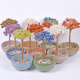 Crystal chips money tree 7 chakras life tree