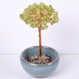 Crystal chips money tree 7 chakras life tree