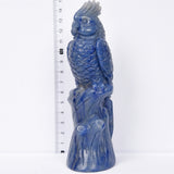 The parrot carving