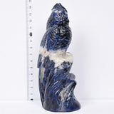 The parrot carving