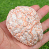Red Vain agate human brain carving