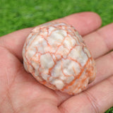 Red Vain agate human brain carving