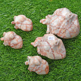 Red vain agate human Heart carving