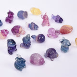 Mini size fluorite Animal carvings