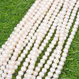 Natural freshwater pearl string for DIY