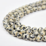 【Loose beads--Dalmatian jasper】