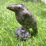 2.4 inch raven carving