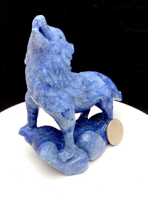 blue aventrine wolf