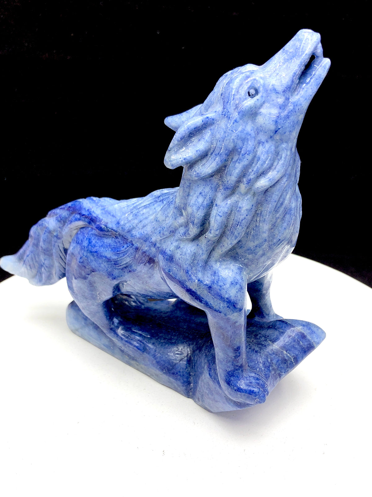 blue aventrine wolf