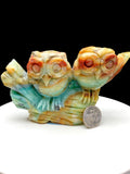 Caribbean calcite owl