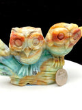 Caribbean calcite owl