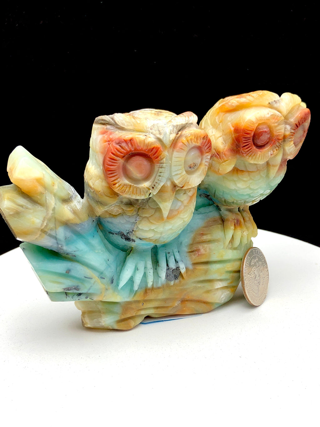 Caribbean calcite owl