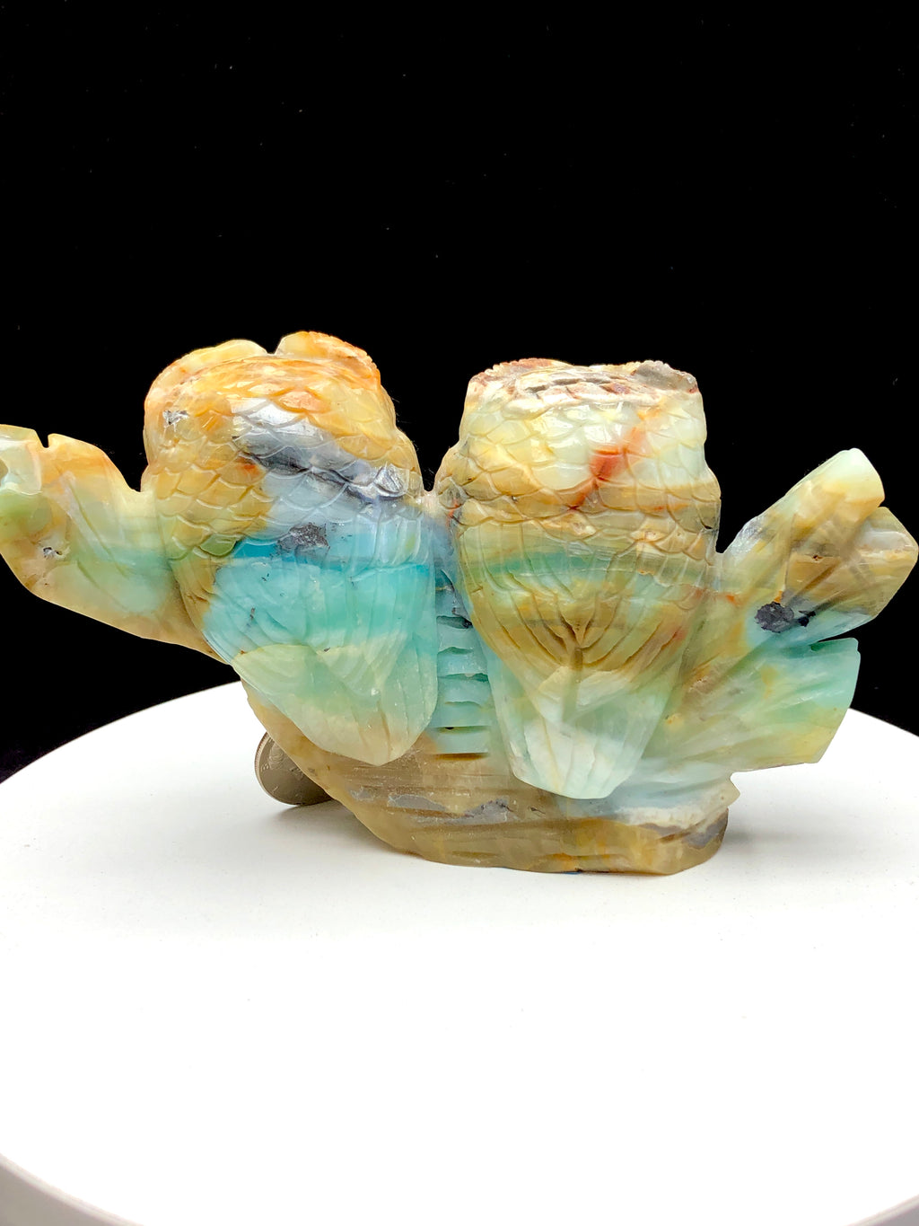 Caribbean calcite owl
