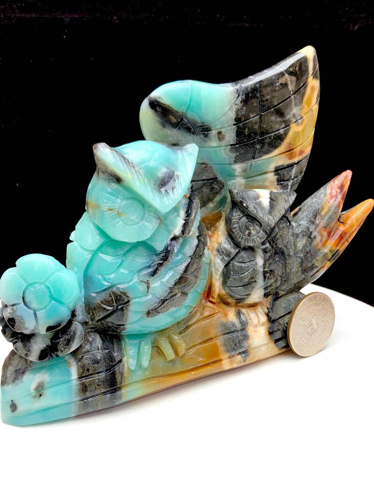 Caribbean calcite owl