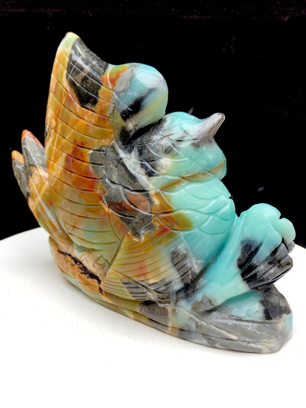 Caribbean calcite owl