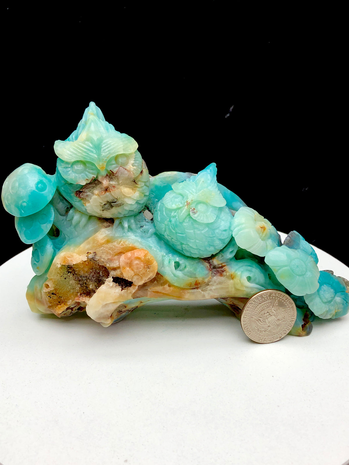 Caribbean calcite owl