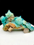 Caribbean calcite owl