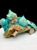 Caribbean calcite owl